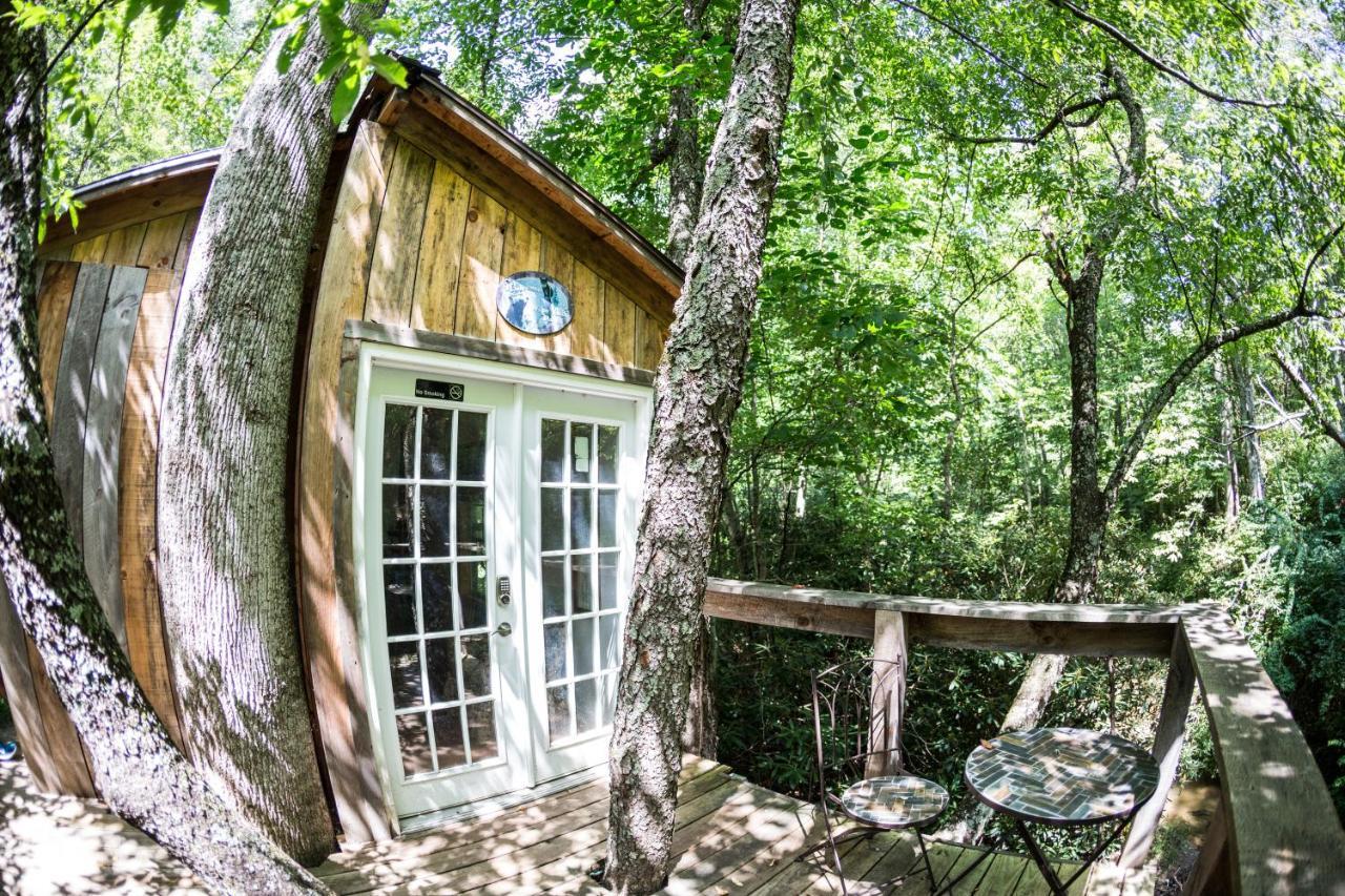 Mountain Harbour B&B Roan Mountain Екстер'єр фото